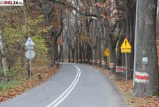 Pomniki przyrody cieszą i... kosztują Mini_pt-debowa1