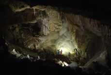 Za cztery lata z przewodnikiem do Sali Mastodonta Mini_pt-mastodont2
