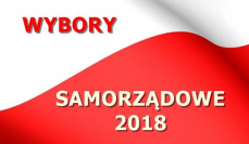 Wybraliśmy władze lokalne Mini_pt-wyniki