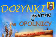 Przed gminnym świętem plonów Mini_pt-dozynki0.op