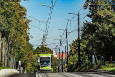 Gminy powalczą o tytuł "Eko-Miasta" Mini_pt-ekologia0