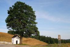 Górska osada znów się ożywi Mini_pt-biala