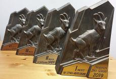 Trofea za dużą aktywność Mini_pt-statuetki
