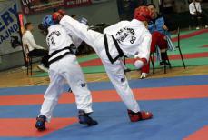 Mini_pt-taekwondo0