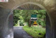 Budowa hydroelektrowni wymaga głębokich analiz Mini_2u2a0709