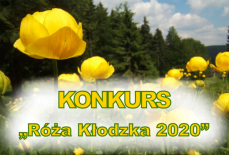 Kolejna edycja "Róży Kłodzkiej" Mini_pt-roza