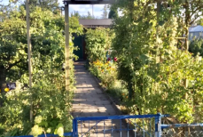 Ogrody działkowe nabrały wartości Mini_pt-ogrody
