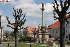 W trosce o dziedzictwo kulturowe Mini_pt-maryjna
