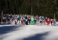 W tym roku bez "Ultrabieli" Mini_pt-ultrabiel