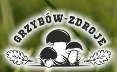 Mini_grzybow-zdroje