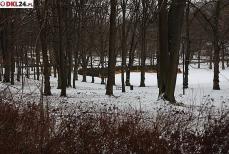 Poniżej szpitala powstanie park leśny Mini_pt-lesny0