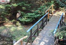 Półwiecze najwyżej położonego arboretum w Polsce Mini_2u2a3012