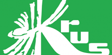 Mini_pt-krus10