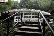 Porozmawiają o ochronie przyrody pod Czarną Górą Mini_2u2a8429