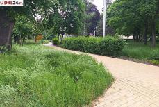 Gminna ekologia pod ocenę mieszkańców Mini_20210612-160100