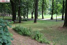 Park Zdrojowy ulegnie rozbudowie Mini_pt-lesny1