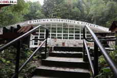 Gminna spółka sprzyja turystyce i rekreacji Mini_2u2a8429