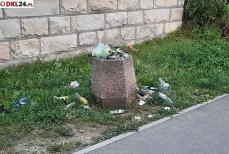 Służby sprzątające pilnie wypatrywane Mini_pt-czystosc-----kopia