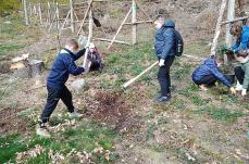 CZYTELNICY - REDAKCJA: Rosną młodzi ekolodzy Mini_pt-szsp4