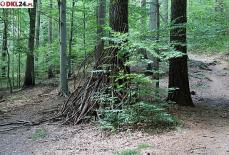 Świeże drewno i chrust nie mogą służyć za opał! Mini_pt-chrust1