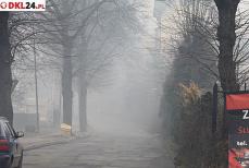 Jak zdetronizować "królową smogu"? Mini_pt-smog2
