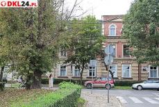 Więcej lumenów na przejściach dla pieszych Mini_2u2a0268