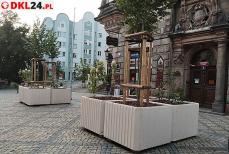 Ukwiecona starówka cieszy oczy i duszę Mini_1696071366690