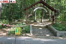 Gmina sprząta po... kornikach drukarzach Mini_2u2a0878