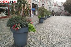 Przybyło zielono-niebieskich miejsc Mini_1696071344225