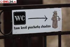 TEMAT NA CZASIE - Dokąd udać się za... królem Mini_2u2a8364