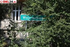 Drogowskazy giną wśród liści Mini_2u2a9546
