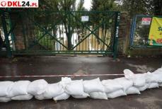 PISANE NA CZASIE - Czy przenieść stadion wyżej od rzeki Mini_2u2a9746