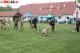 List_mini_img-8141