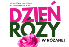 Mini_pt-rozana11