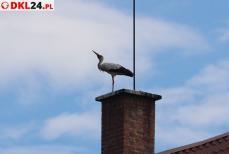 BARDO - Mieszkańców wciąż ubywa Mini_2u2a6044