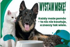 Mini_pt-miska2