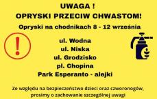 KŁODZKO - Kolejny tydzień z opryskami Mini_pt-opryski22b