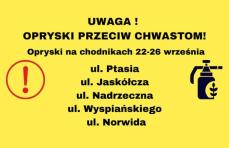 Mini_ptopryski33