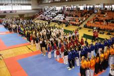 Mini_dkl24-nowa-ruda-taekwondo-puchar-01