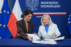 Mini_dkl24-duw-powiat-ludwikowice