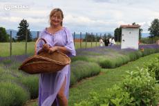 Mini_dkl24-lawendowy-ogrod-09-2