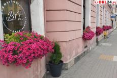 Mini_img-20260716-160123