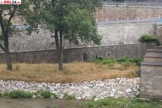Mini_img-20260718-123557