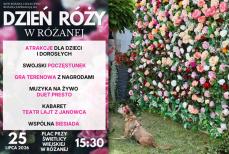 Mini_dkl24-rozana