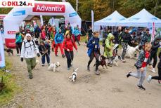 Mini_dogtrekking60
