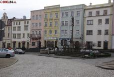 Mini_pt-spoleczne